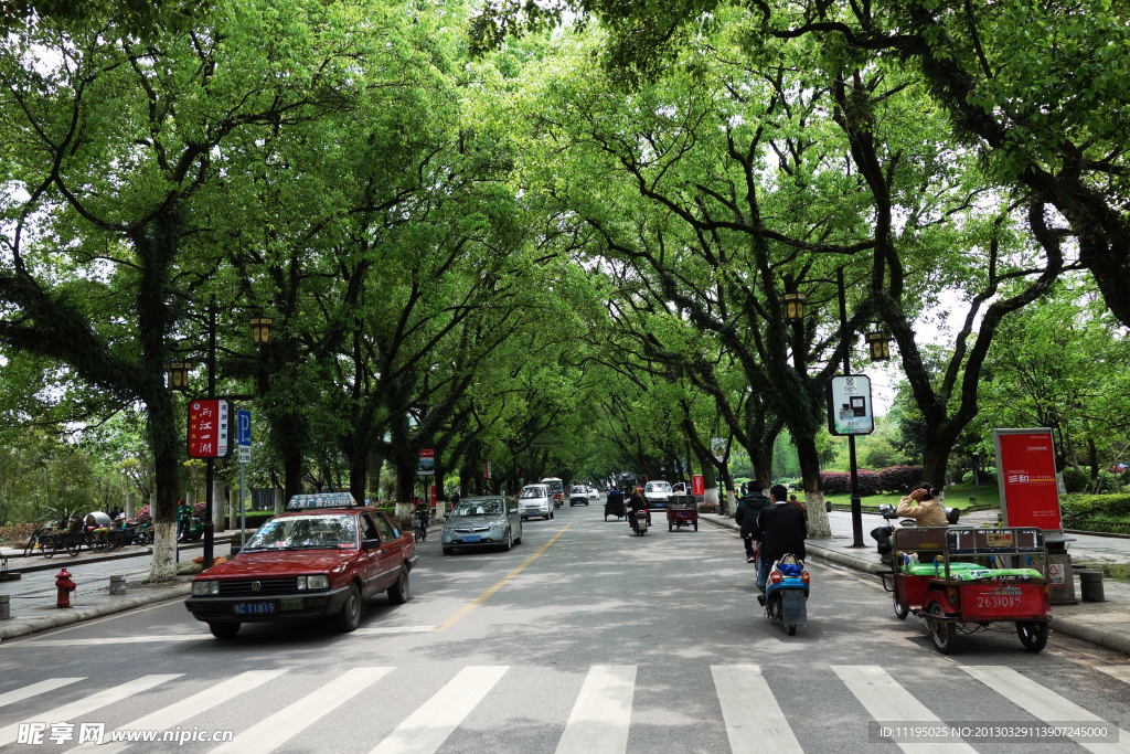 桂林的街道 绿树成荫