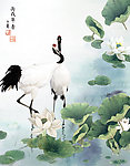 鹤与荷