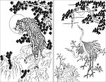 老虎天鹤