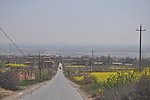 乡村风光