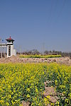 乡村旅游