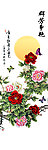 群芳争艳