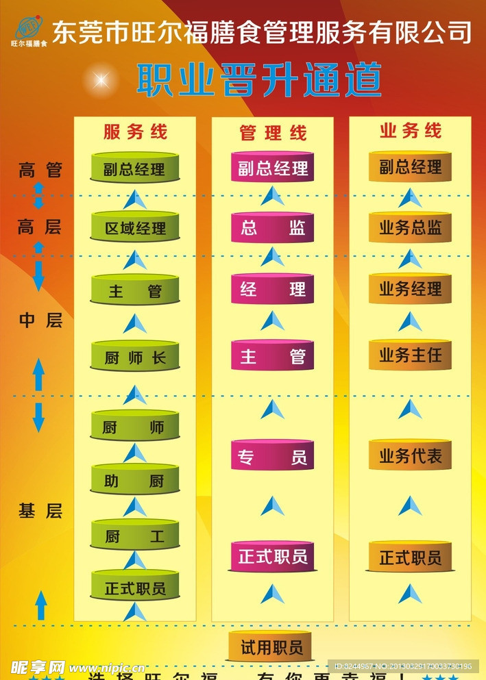 公司职业晋升通道图