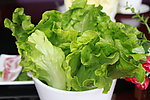 生菜