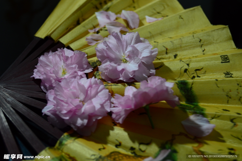 扇子与桃花