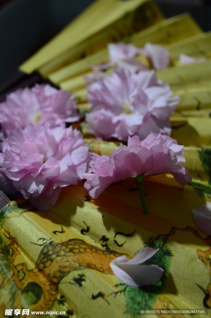 扇子与桃花