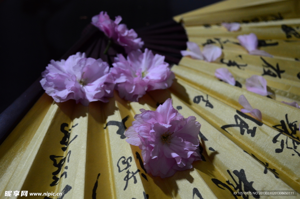 扇子与桃花