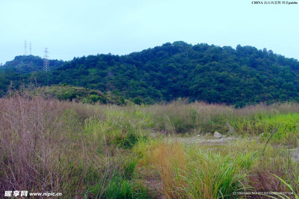 中国山水 山岚芦苇