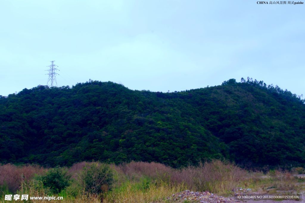 中国山水 山岚芦苇