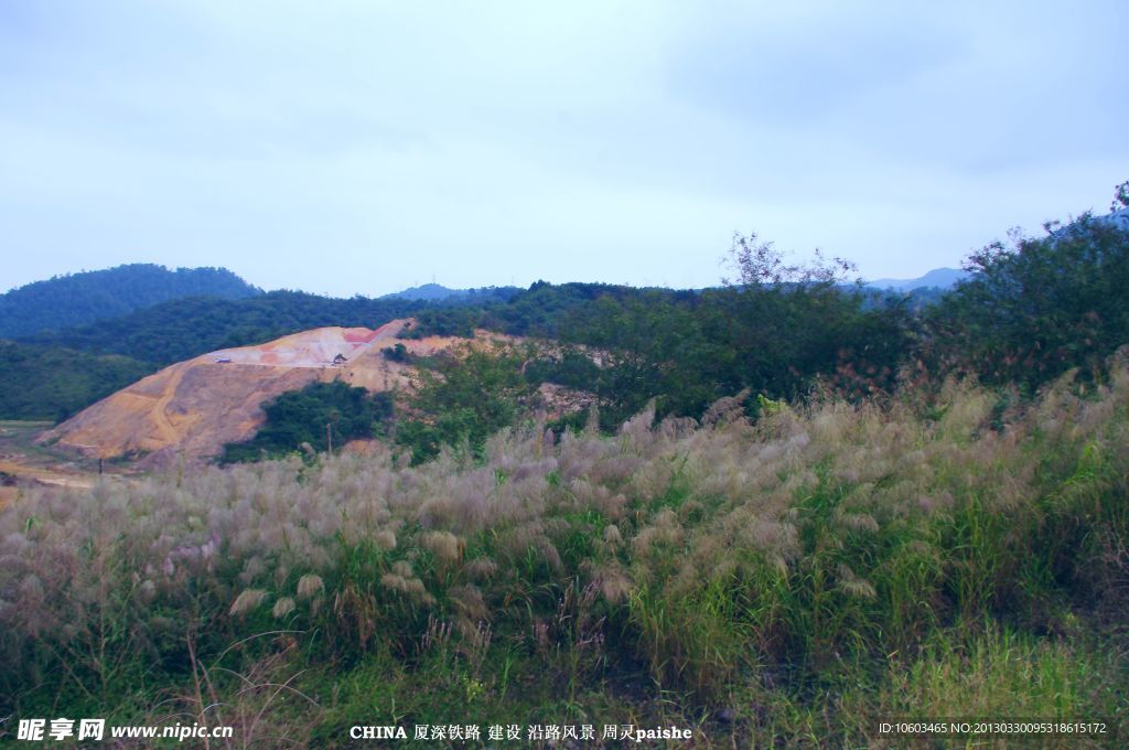 中国山水 高山芦苇