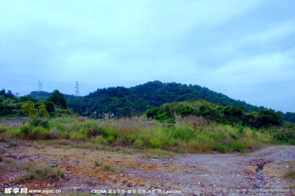 中国山水 高山芦苇