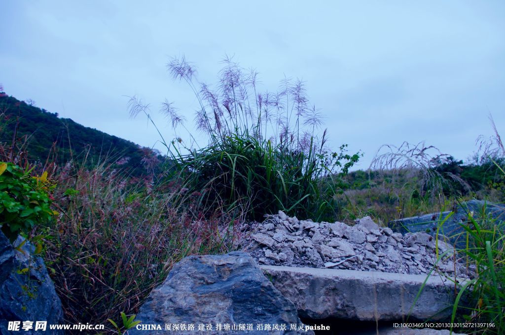 中国山水 高山芦苇