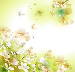 花湖