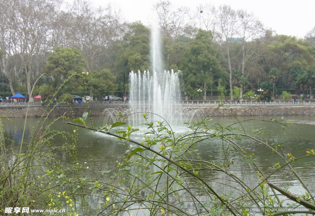 池塘