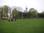 草坪 绿地
