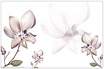 透明雅致花卉矢量