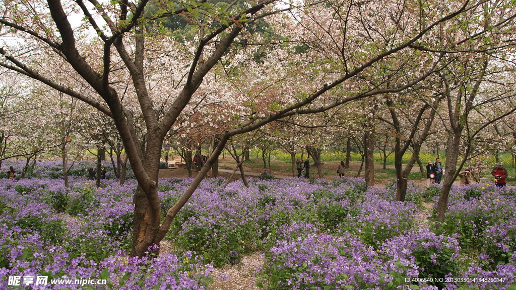 花丛