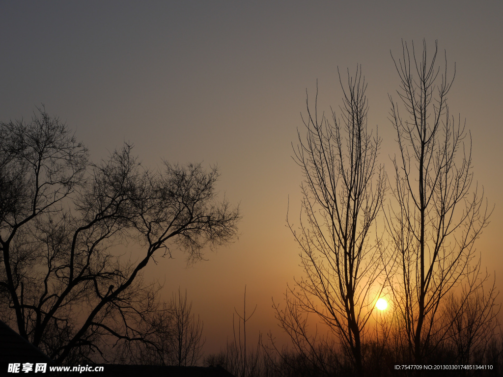 夕阳景观