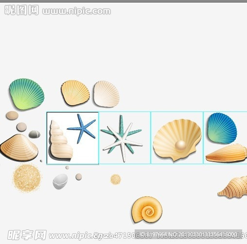 贝壳