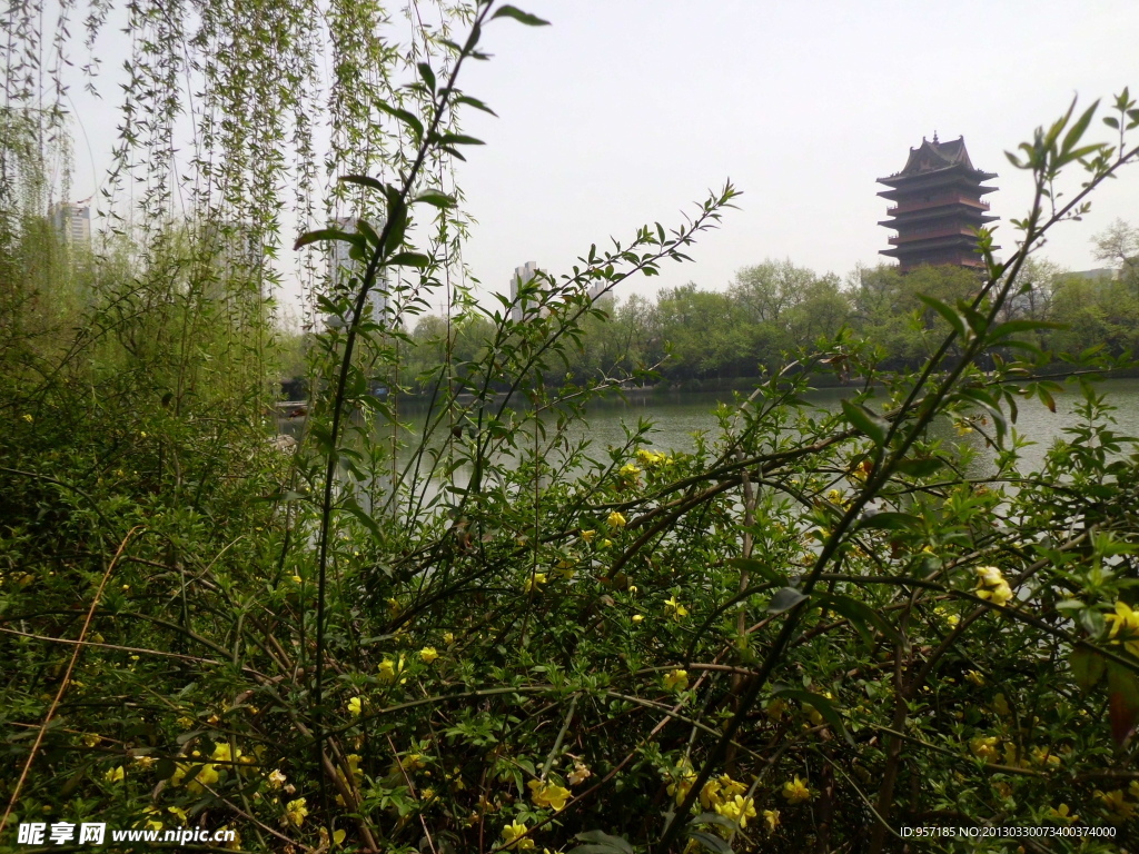 合肥包河旅游风景图片