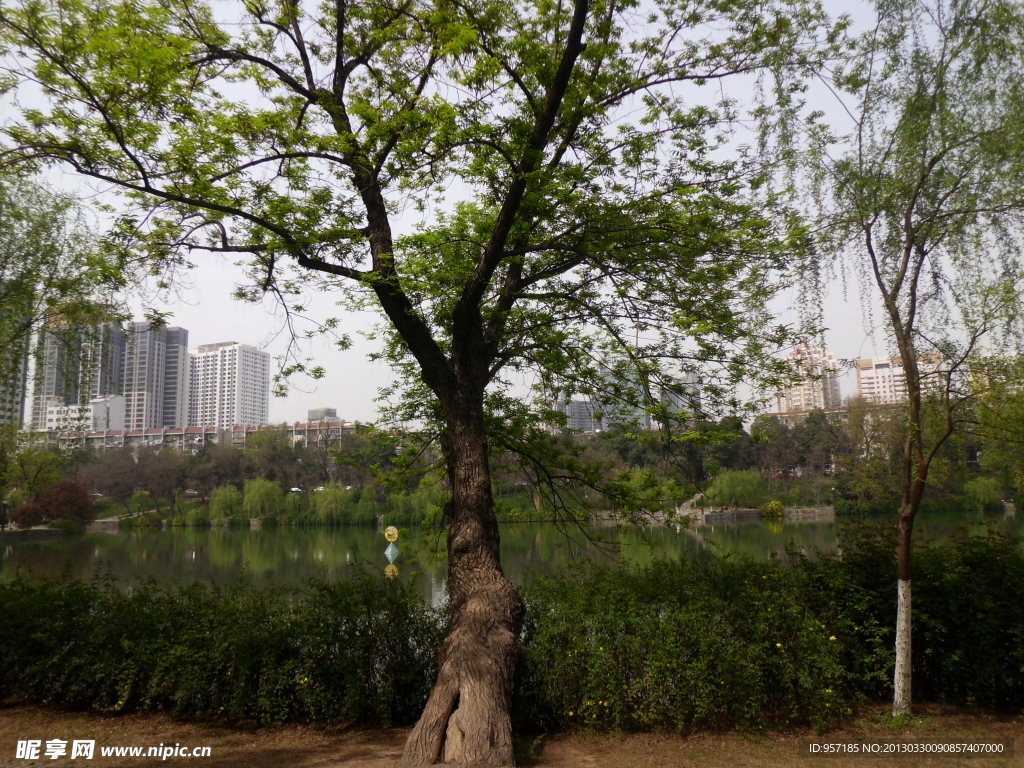 合肥包河旅游风景图片