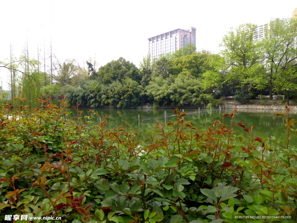 合肥包河旅游风景图片