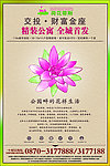 公寓报广 荷花蒂斯