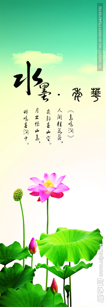 荷花