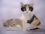 小猫咪 国画 水粉画