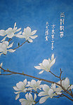 吴玉阳工笔画玉兰花