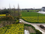 乡间小路