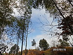 自然风景图片