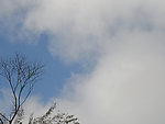 自然风景图片