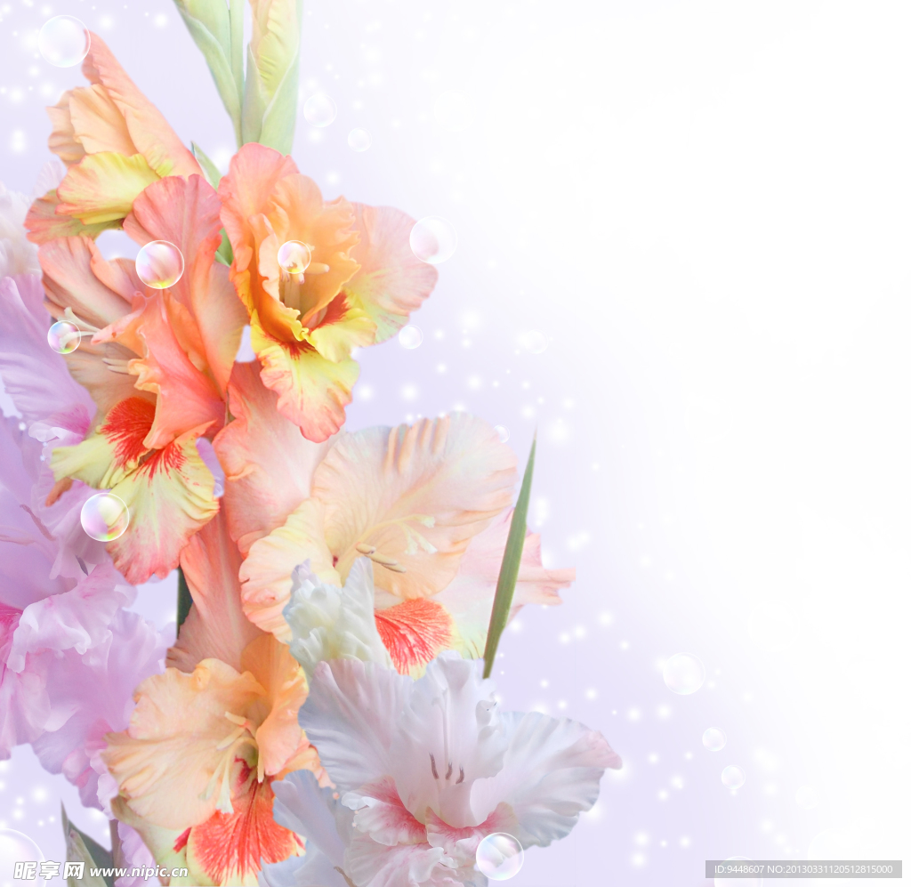 鲜花花束