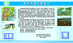 海洋大道工程简介