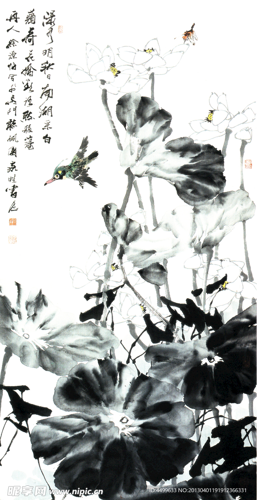 荷花国画