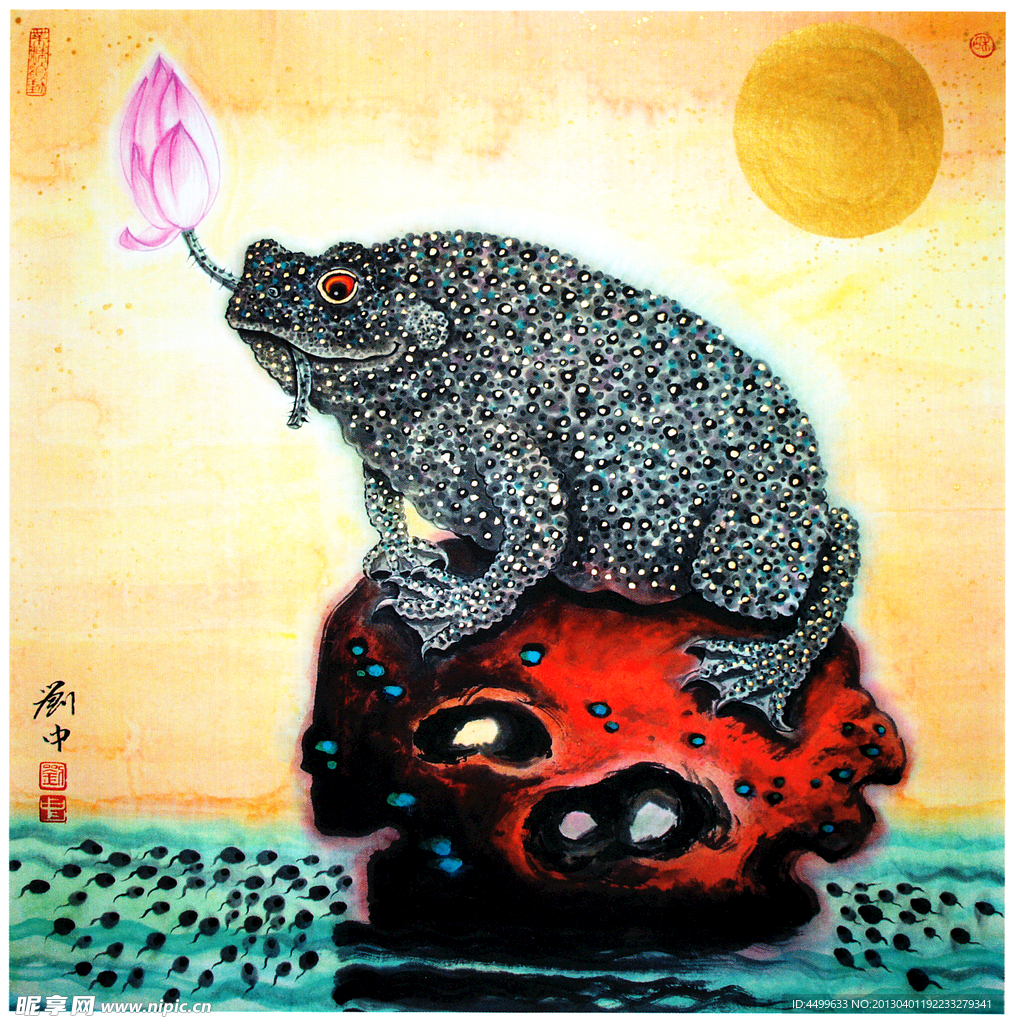 蟾蜍