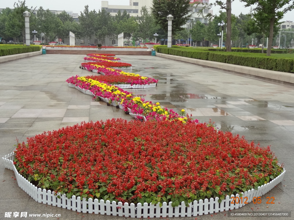 花草