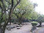 盛安百草园
