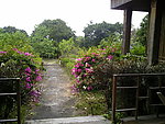 盛安百草园