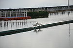 河水