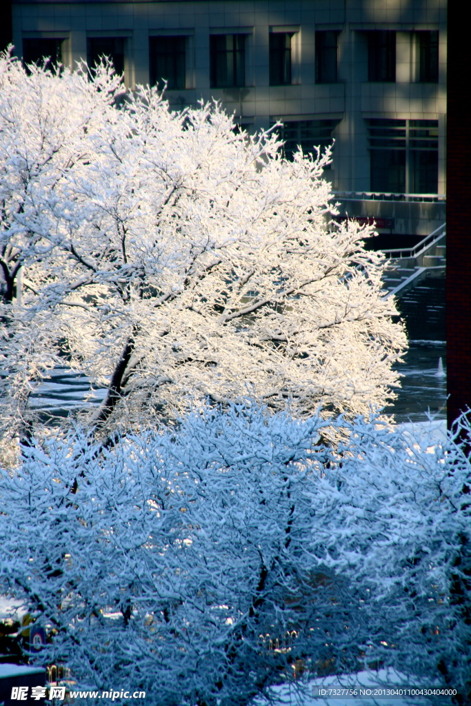 雪景