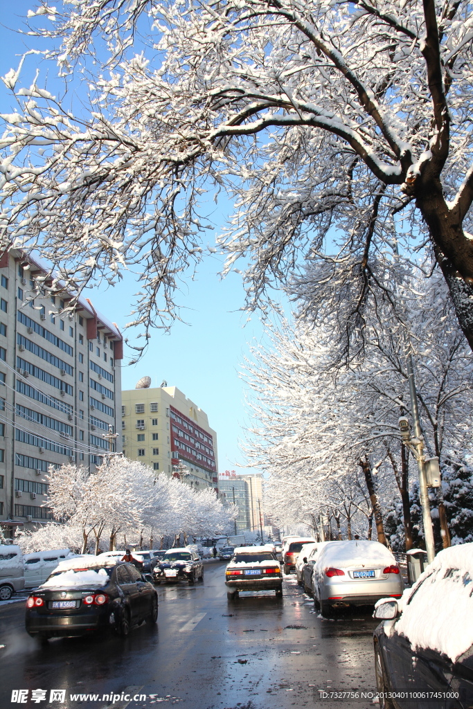 雪景