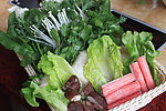 蔬菜拼盘