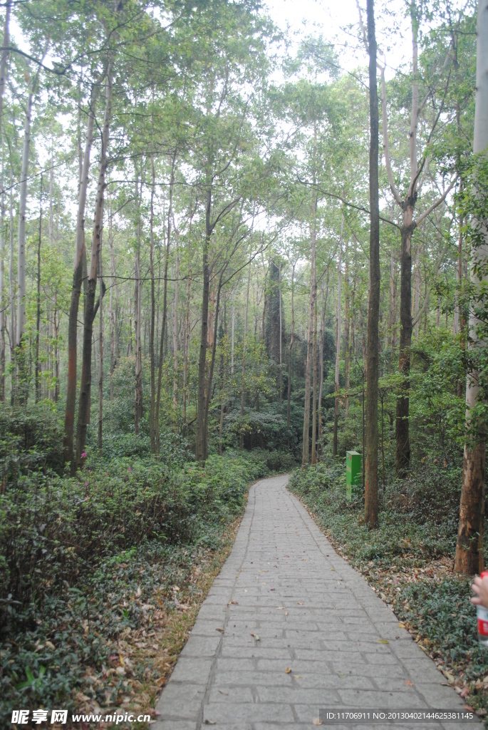 东莞水濂山