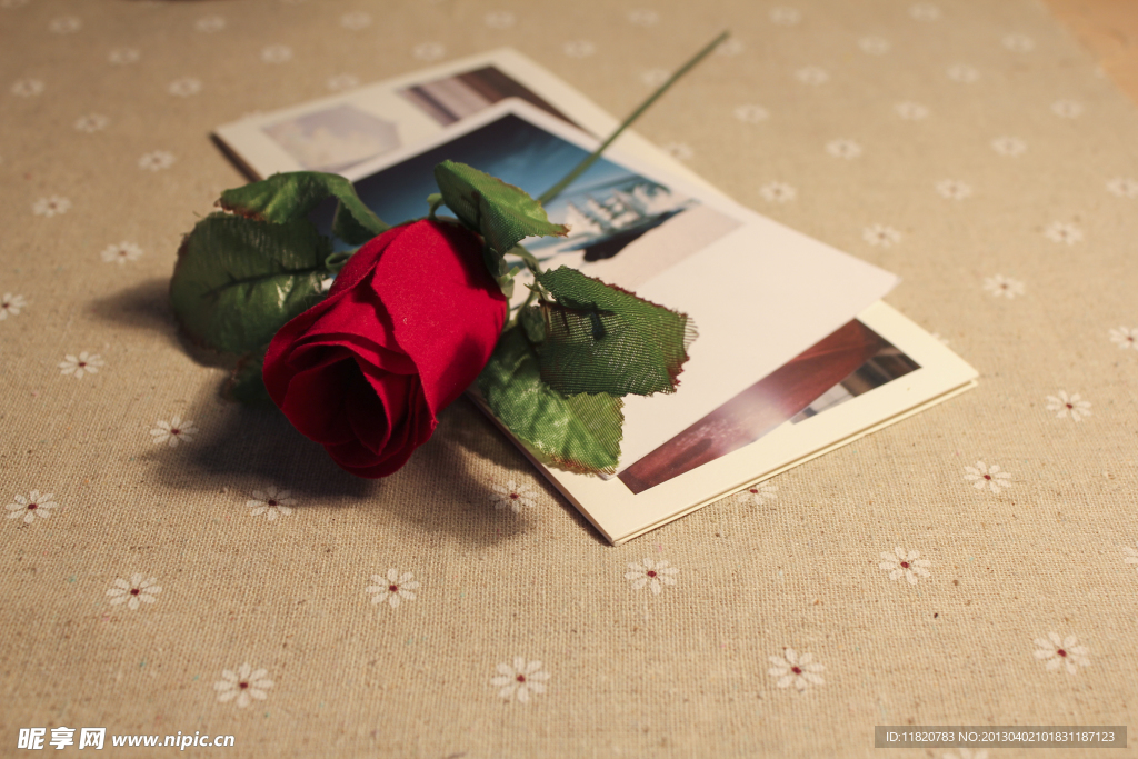 玫瑰花与明信片