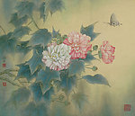 国画芙蓉