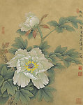 雪莲