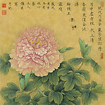 胭脂红