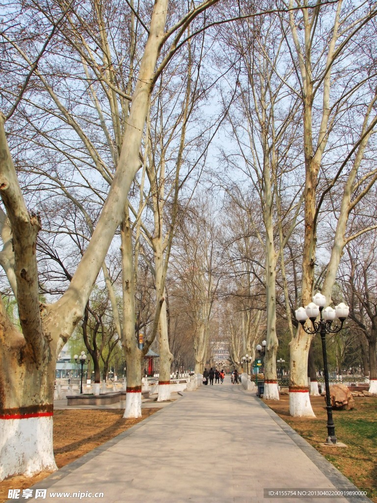 园林景观